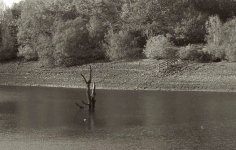 LowWater.jpg LowWater.jpg