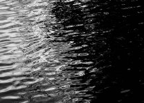 The Shape of Water.jpg