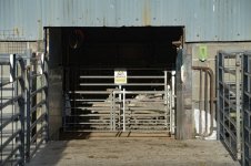 _7813521.jpg _7813521.jpg