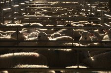 _7813473.jpg _7813473.jpg