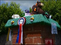County Show postbox decoration D600 D60_5083.jpeg