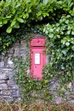 _DSF3365 PS Adj Upload.jpg