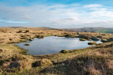 009 Pew Tor Pond 2 01-3959 PS Adj Upload.jpg