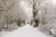 1-DSC00772.jpg 1-DSC00772.jpg