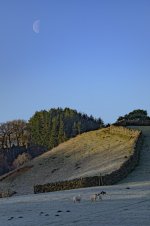 _7816608.jpg _7816608.jpg