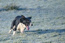 _7816634.jpg _7816634.jpg