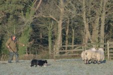 _7816641.jpg _7816641.jpg