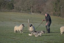 _7816689.jpg _7816689.jpg