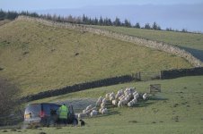 _7816711.jpg _7816711.jpg