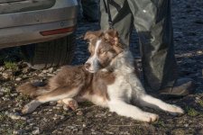 _SON1070.jpg _SON1070.jpg