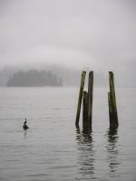 Week 2 - Rust and Decay 4.jpg