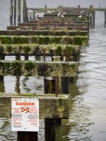 Week 2 - Rust and Decay 6.jpg