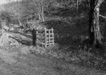 Sunlit gate.jpg Sunlit gate.jpg