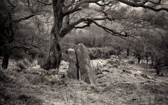 LeaningStones.jpg LeaningStones.jpg