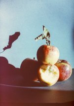 Wild Apples.jpg Wild Apples.jpg