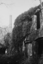 Overgrown.jpg Overgrown.jpg