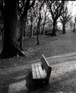 ParkBench.jpg ParkBench.jpg
