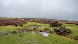 001 Foggy Start 01-0106 PS Adj Upload.jpg 001 Foggy Start 01-0106 PS Adj Upload.jpg