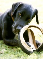 1768745771814.jpeg 1768745771814.jpeg