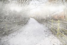 Footbridge in Fog 001.jpg