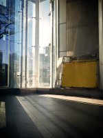 Week 3 - Windows and Doors 1.jpg