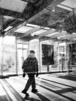 Week 3 - Windows and Doors 2.jpg