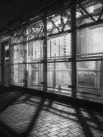 Week 3 - Windows and Doors 6.jpg