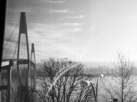 Week 3 - Windows and Doors 7.jpg