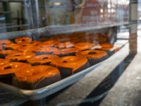 Week 3 - Windows and Doors 5.jpg