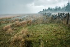 027 Stormy Weather 03-9204 PS Adj Upload.jpg