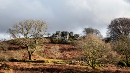 004 Snappers Tor 01-0176 PS Adj Upload.jpg 004 Snappers Tor 01-0176 PS Adj Upload.jpg