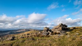 020 Hingston Hill Tor 01-3559 PS Adj Upload.jpg 020 Hingston Hill Tor 01-3559 PS Adj Upload.jpg