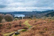 024 Snappers Tor & Burrator Reservoir 02-0221 PS Adj Upload.jpg 024 Snappers Tor & Burrator Reservoir 02-0221 PS Adj Upload.jpg