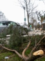 Week 4 - Broken 3.jpg