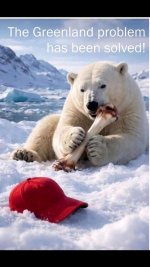 7dc32f138ad8034e424a938ddda723e27eb1b66c_2_421x748 (1).jpeg