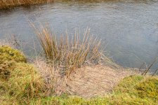 001 Disused Quarry 01-3577 PS Adj Upload.jpg 001 Disused Quarry 01-3577 PS Adj Upload.jpg