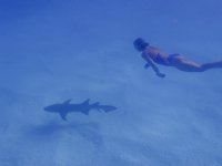 20251018-PA180114.jpg 20251018-PA180114.jpg