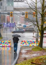 Week 5 - Rainy Day 1.jpg