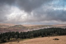 019 Down Tor from Sheeps Tor 01-4044 PS Adj Upload.jpg 019 Down Tor from Sheeps Tor 01-4044 PS Adj Upload.jpg