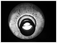 Rusell Adams- Obsidian Saccharum-2412-Div 2..jpg