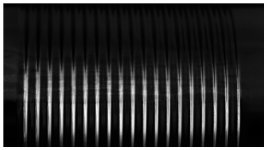 Rusell Adams-Receptaculum-2412-Div 2..jpg