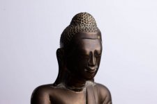 Short Lighting-8.jpg