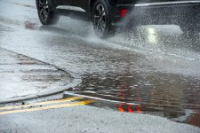 Week Five - after the rain.jpg