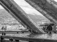 Week 6 - Looking Through 5.jpg