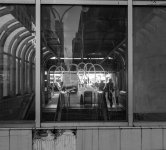 Week 6 - Looking Through 6.jpg