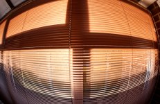 Through the Blinds 002.jpg