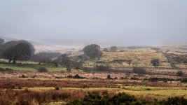 001 Powder Mills 01-2770 PS Adj Upload.jpg 001 Powder Mills 01-2770 PS Adj Upload.jpg