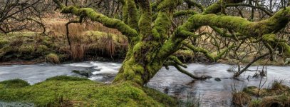 018 Powder Mills 18-4113 PS Adj Upload.jpg 018 Powder Mills 18-4113 PS Adj Upload.jpg