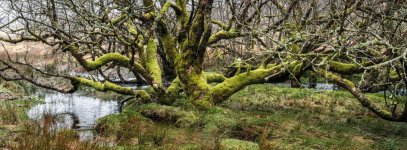 026 Powder Mills 26-4128 PS Adj Upload.jpg 026 Powder Mills 26-4128 PS Adj Upload.jpg