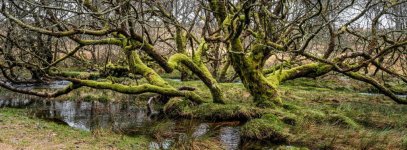 027 Powder Mills 27-4129 PS Adj Upload.jpg 027 Powder Mills 27-4129 PS Adj Upload.jpg